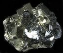 Gleaming, Cubic Pyrite & Sphalerite Cluster - Peru #38905-1